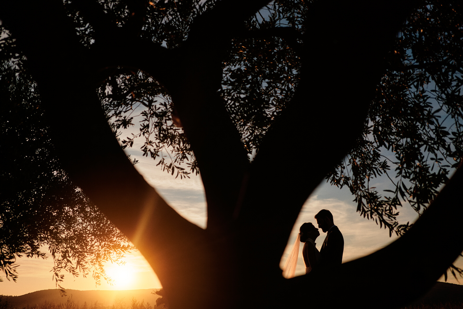 couple face à face en silhouette sous un olivier au coucher de soleil 