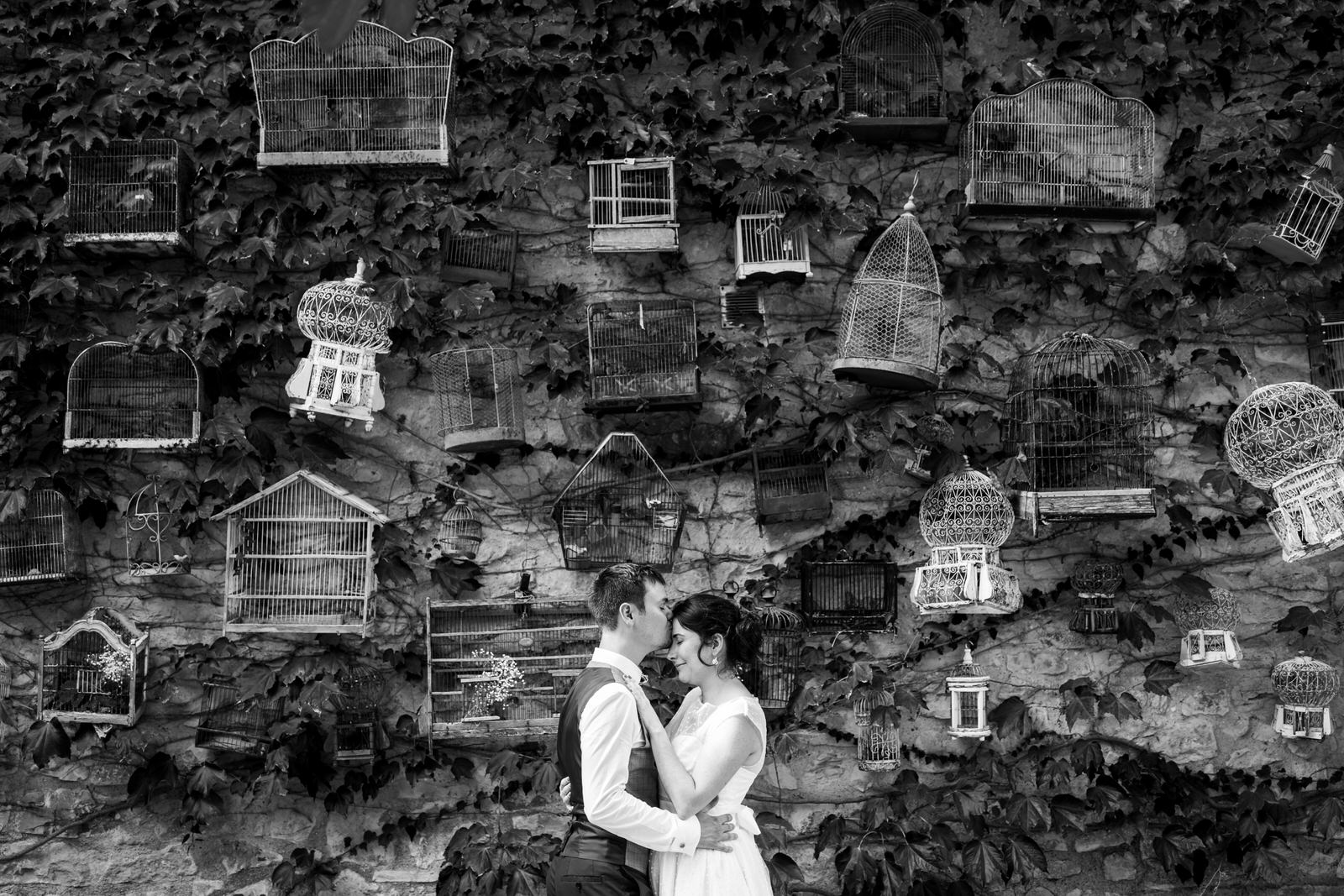 le marié embrasse la mariée sur le front devant un mur de végétation avec des cages à oiseaux accrochées au mur