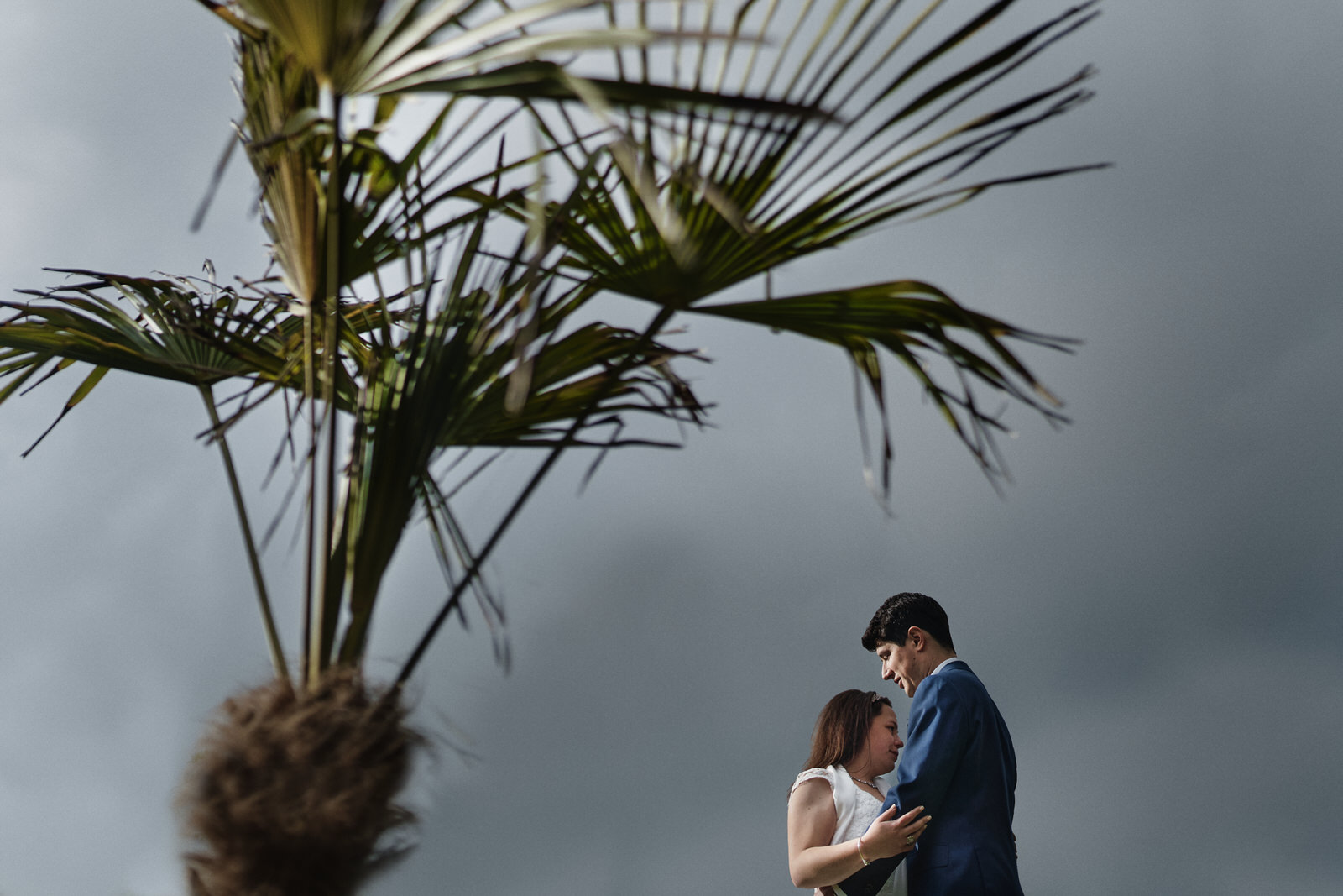 couple enlacé sous un palmier sous un ciel d'orage pendant un mariage