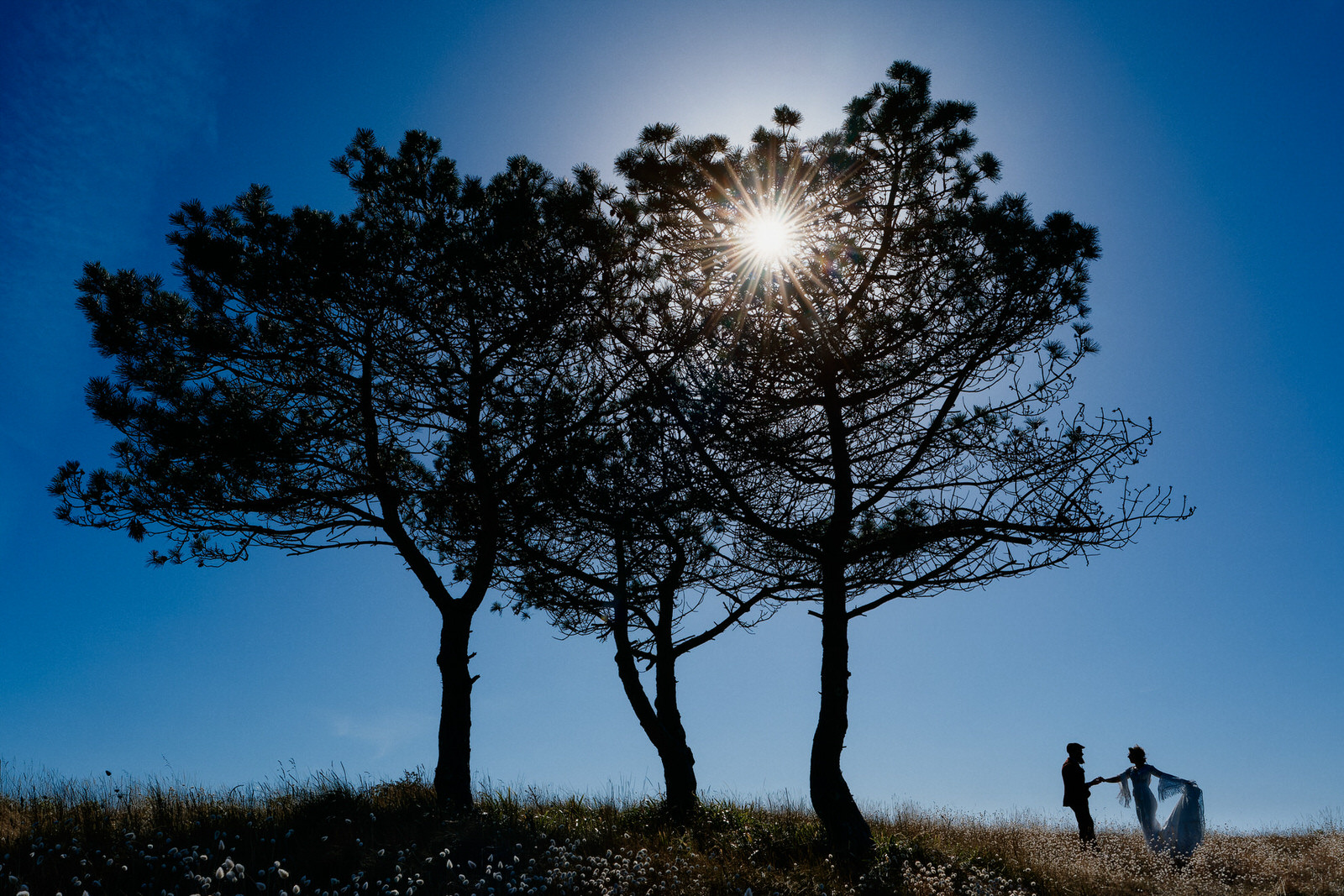 Photo de mariage en silhouette d'un couple dansant au loin, sous les arbres